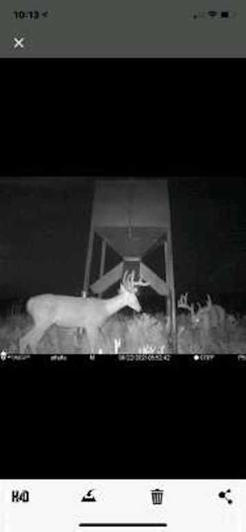 pulse-image-1658112841511