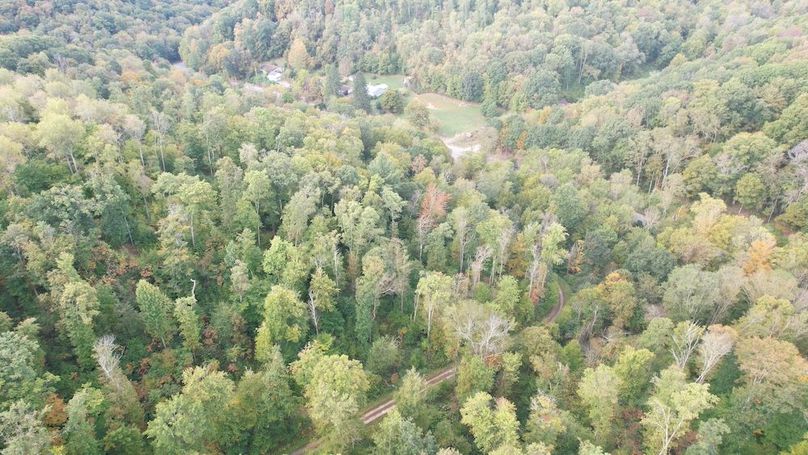 dji_fly_20240919_084824_660_1726752722492_photo