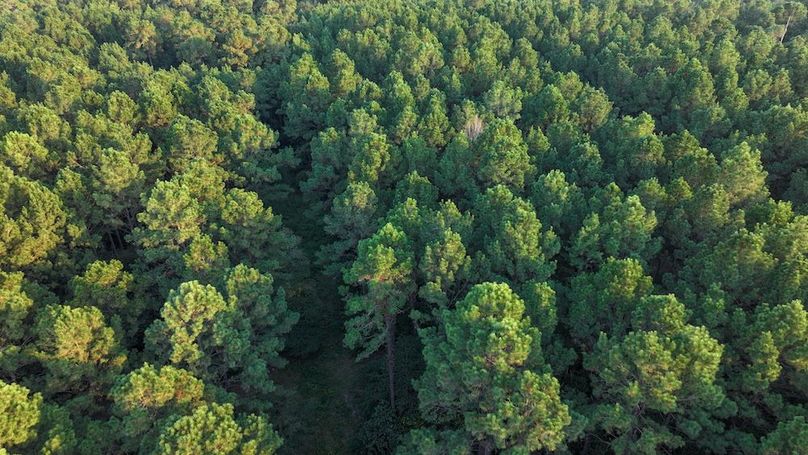 DJI_20250918180336_0192_D