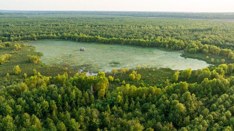 MadisonParLa1372-071