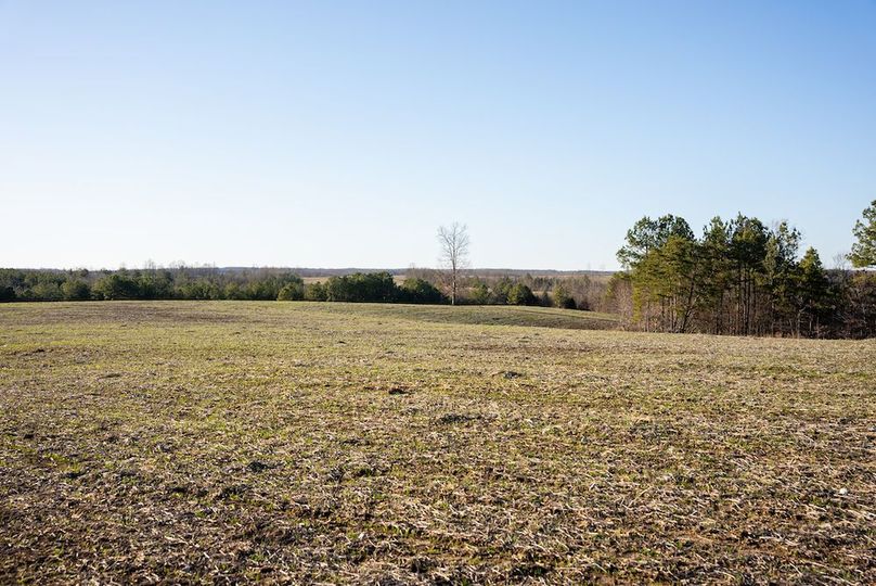 CCC03863