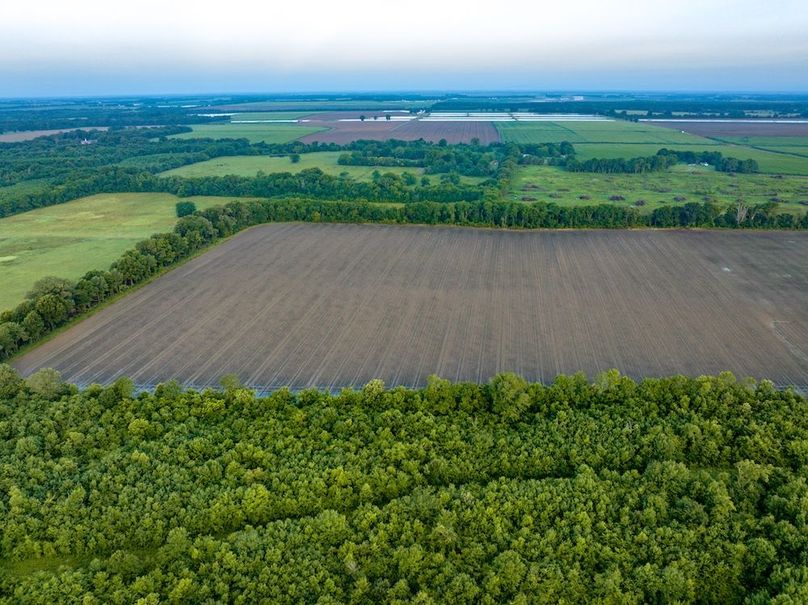 Copy of Noxubee 112.1 +- Tract 1-13