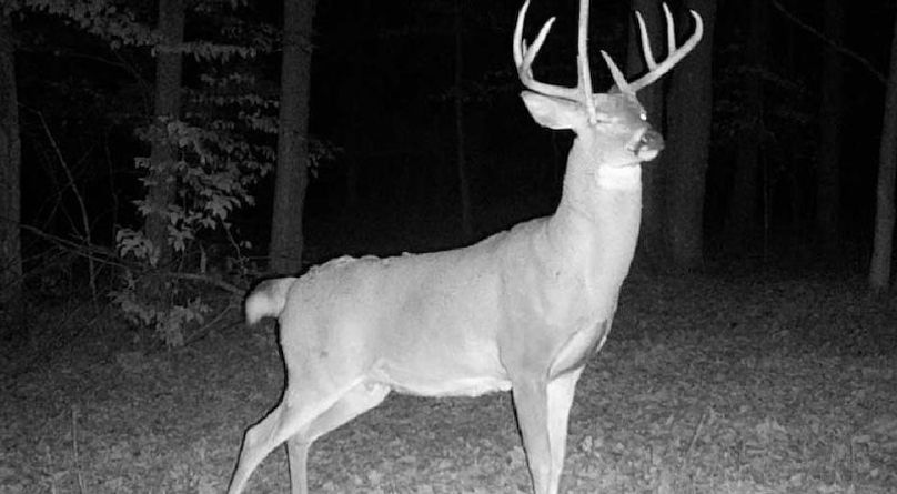 Screen Shot 2025-10-07 at 11.40.53 AM