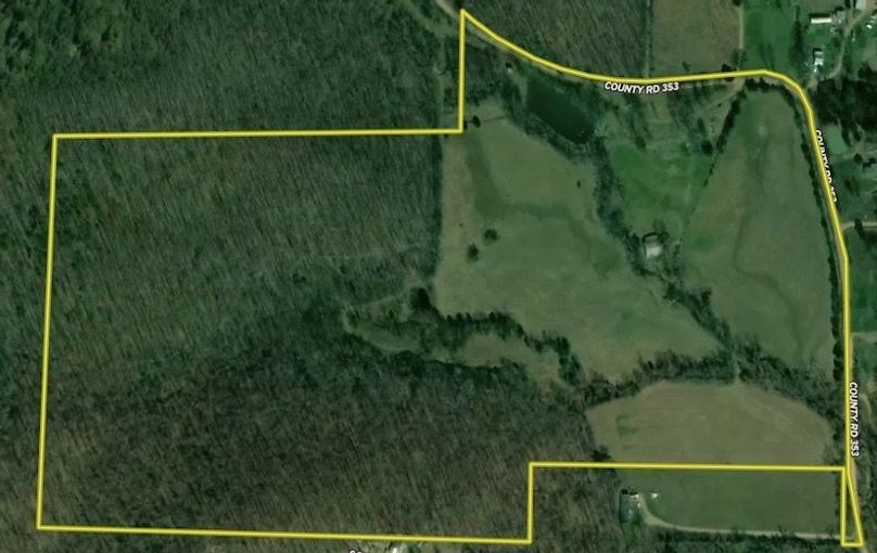 Image 3-11-24 at 9.37 PM