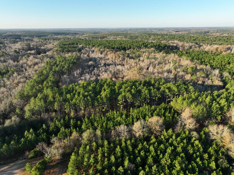 dji_fly_20231229_082412_977_1703856705029_photo