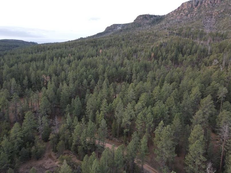 8.dji_fly_20240227_075302_379_1709045811024_photo