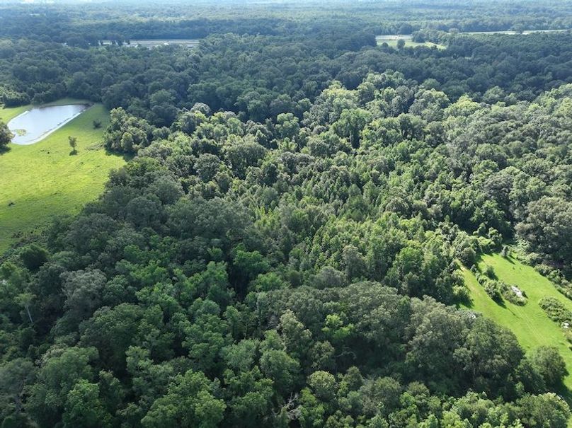 dji_fly_20240628_102538_596_1719590809542_photo