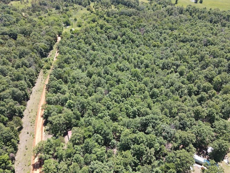 dji_fly_20260507_122532_747_1778174743025_photo