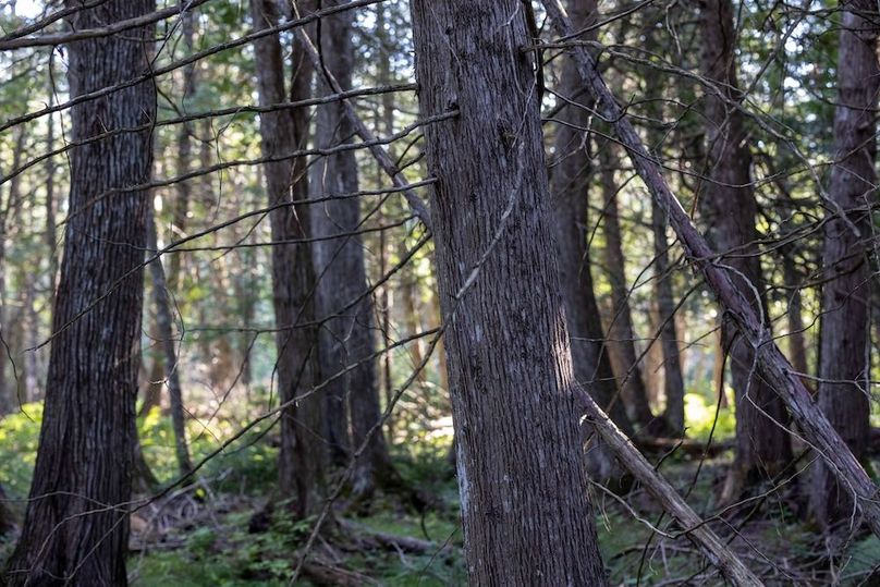 Mackinac 320 Copenhaver-90