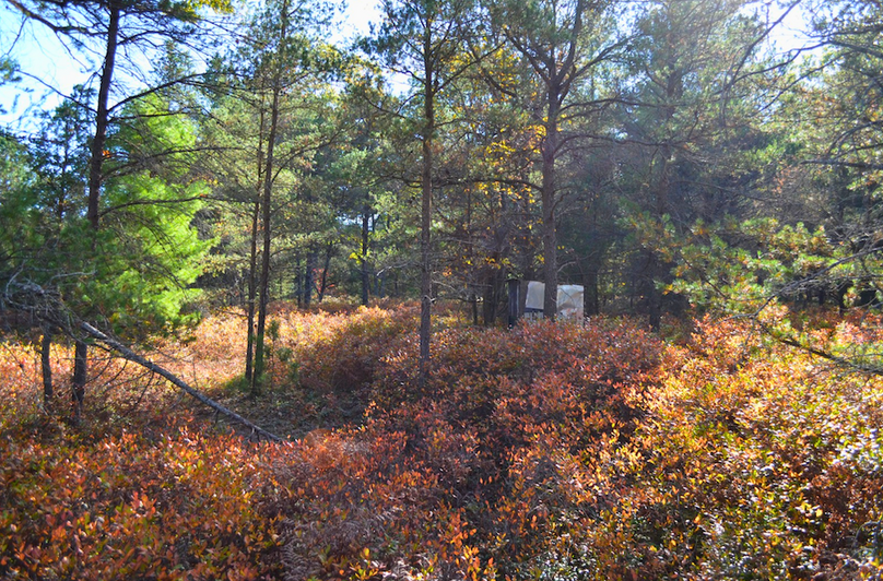 Screenshot 2025-11-14 at 11.22.02 AM