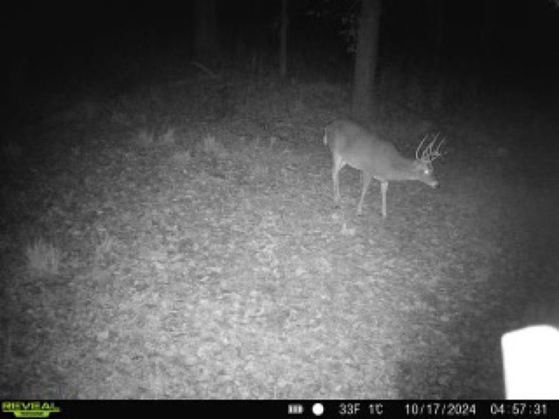 860322064793737-70-4-10172024045730-W1003414