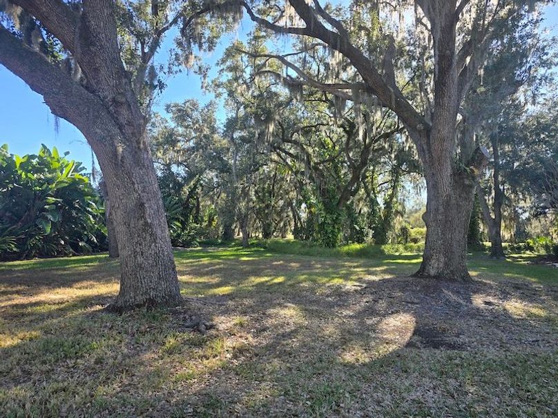  25ac, Osceola, Nimaya Fin05