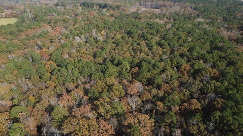 hot spring 1920251113_0382