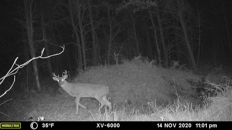 output_image1694006792578