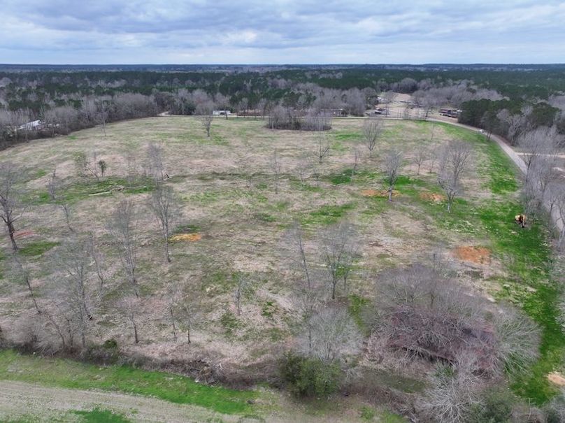 Copy of Copy of dji_fly_20260217_144412_0173_1771436897054_photo