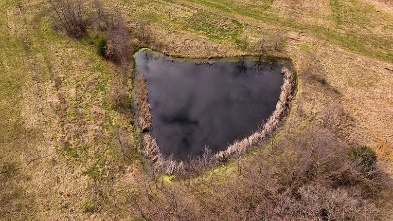 DJI_004
