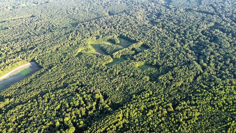 dji_fly_20250726_071628_486_1753528648759_photo_optimized