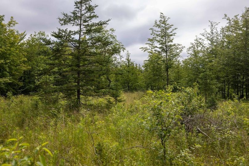 Mackinac 160 Leppiaho-16