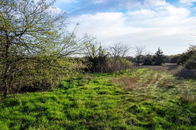 Hopkins County- 15.53 acres-19