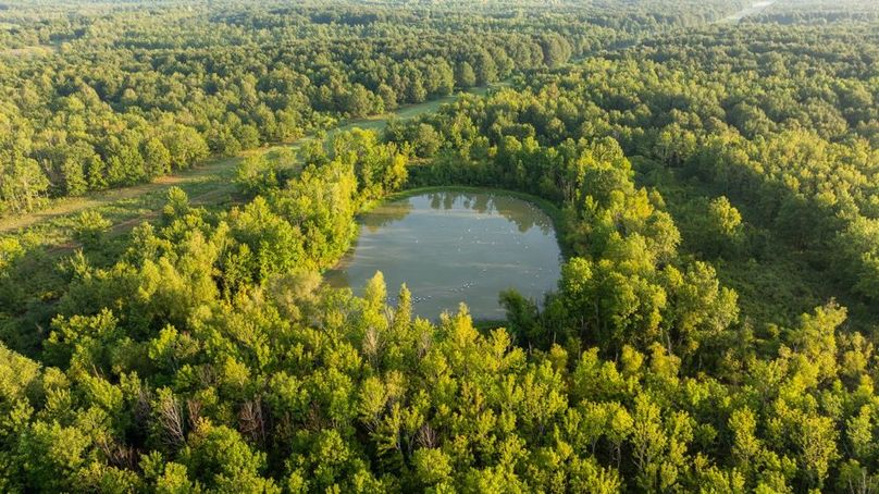 MadisonParLa1372-085