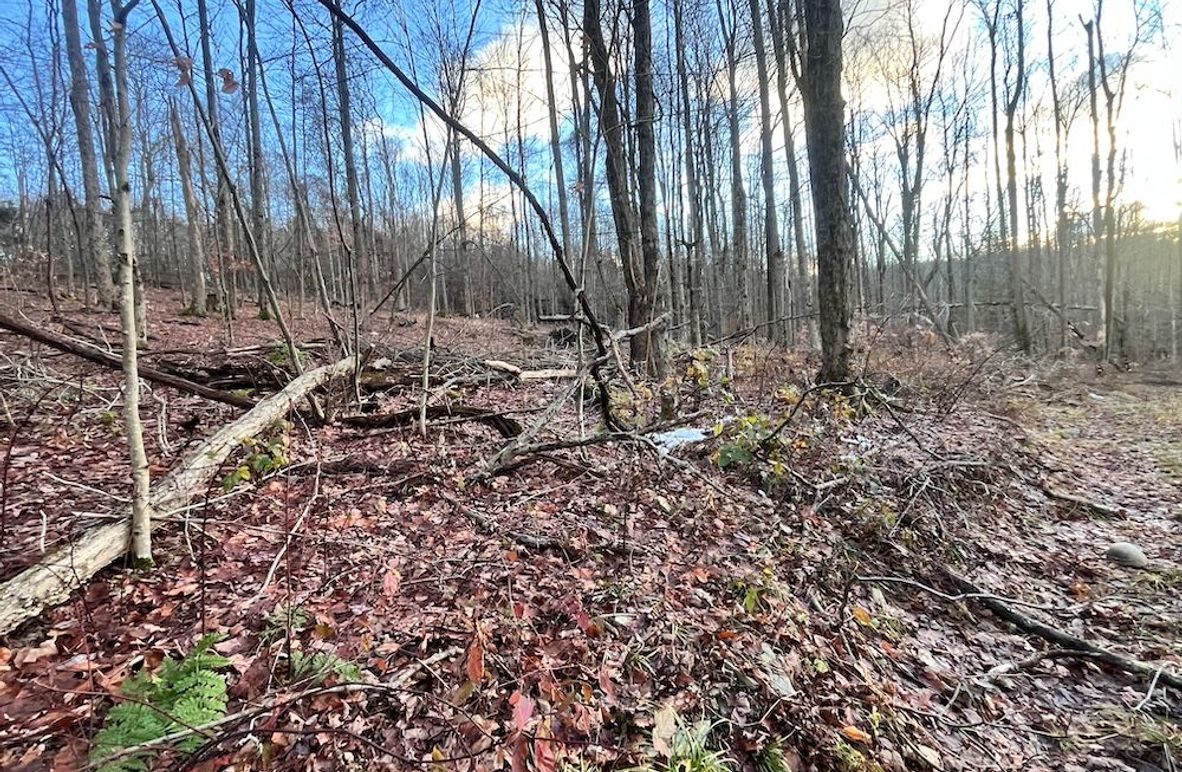 Tioga_89.1__Blatt_Photos_3