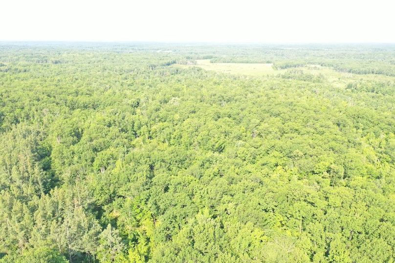 DJI_0796