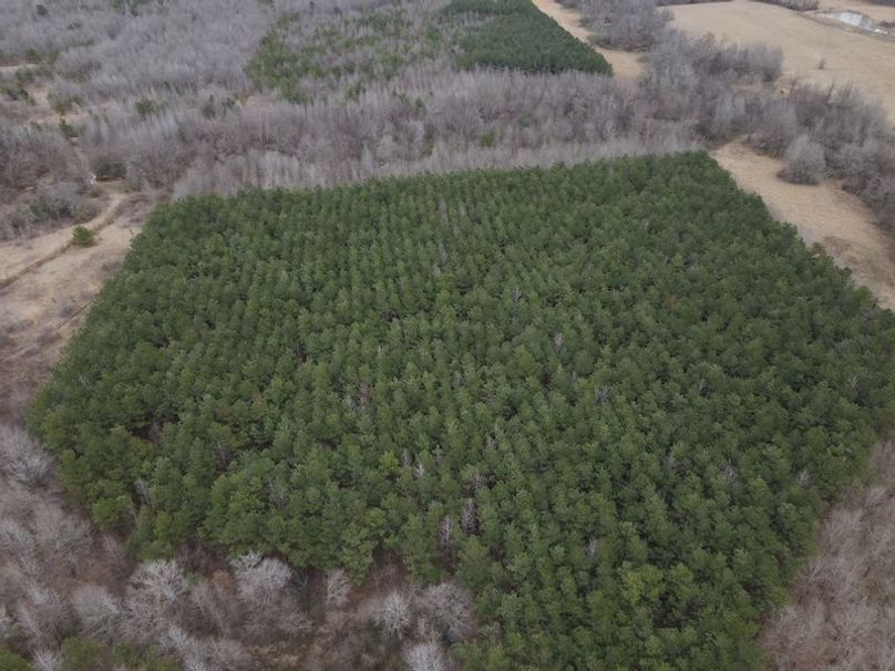 DJI_0037
