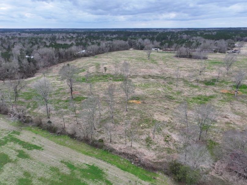 dji_fly_20260217_144418_0174_1771436896828_photo