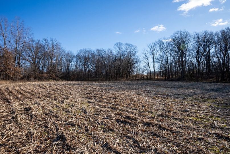 Copy of DSC00679 Large