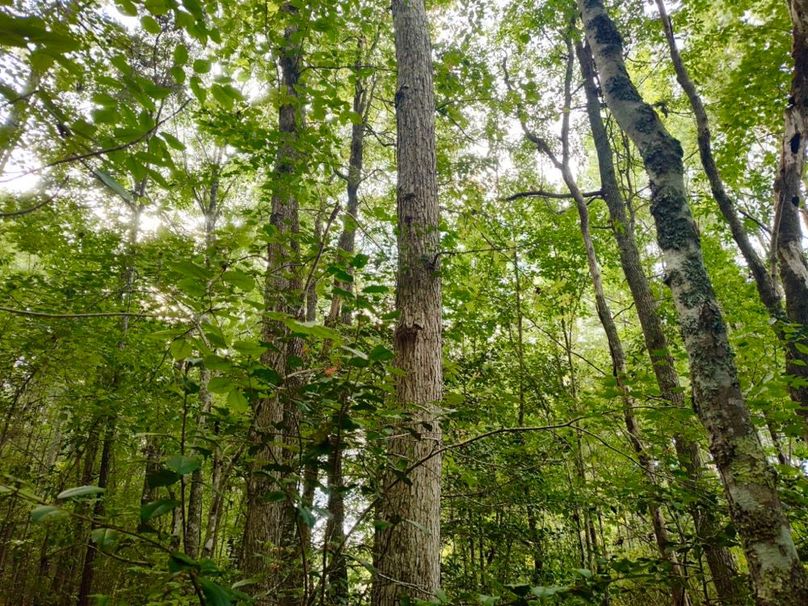 IMG_20250914_170952495_HDR