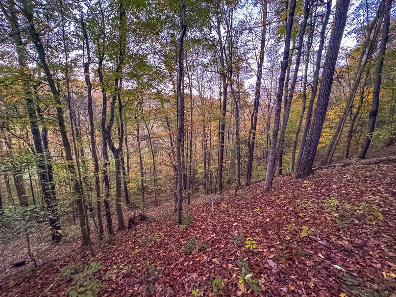 Wirt, WV 43 AC Berry-21