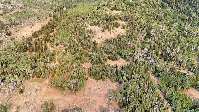 DJI_20250726174655_0154_D