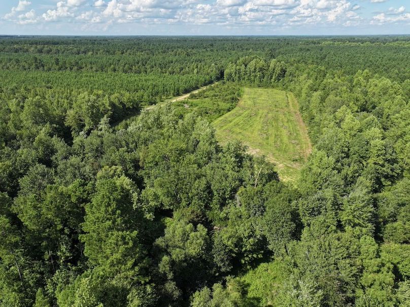 DJI_20240820164202_0025_D