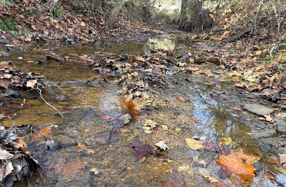 002 Peaceful Blue Line Stream at the face of the Property