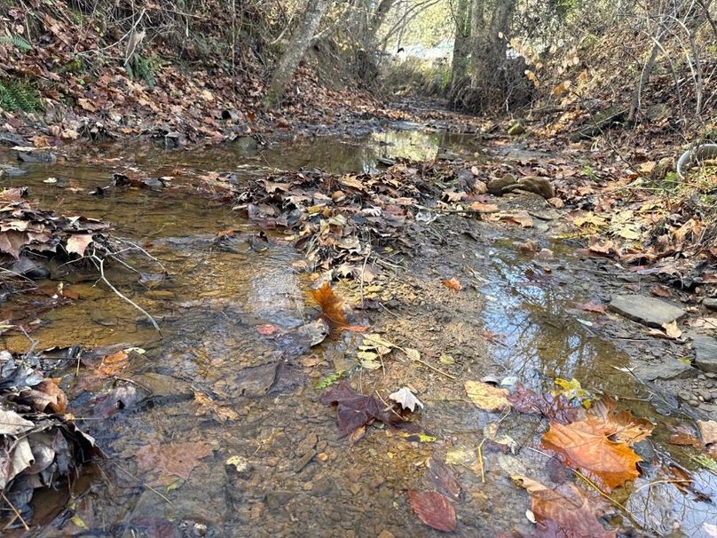 002 Peaceful Blue Line Stream at the face of the Property