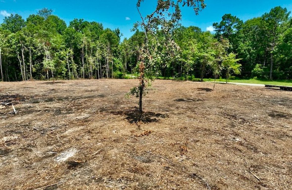 2BCBBE81-8C14-4BFD-8FBD-0CD9EA504FF4_1_105_c