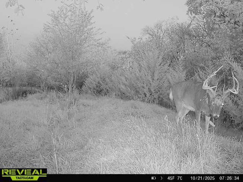 865814040443812-30-4-10212025072634-W1003332