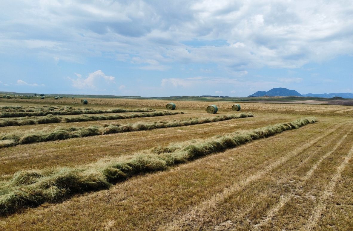 dji_fly_20230706_114910_161_1688665796528_photo_optimized