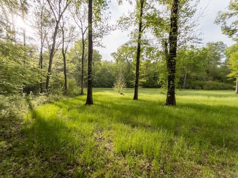 Claiborne Co-314-Fernandez-90