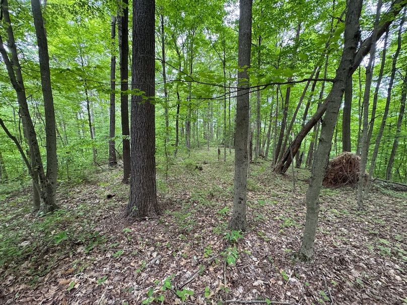 Pleasants, WV 168.59 AC Superior, Swank, Young-094