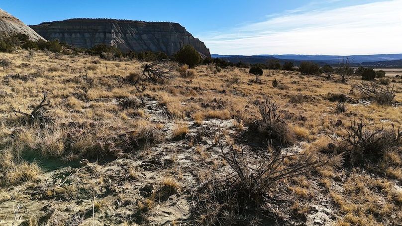 DJI_20241219101929_0069_D