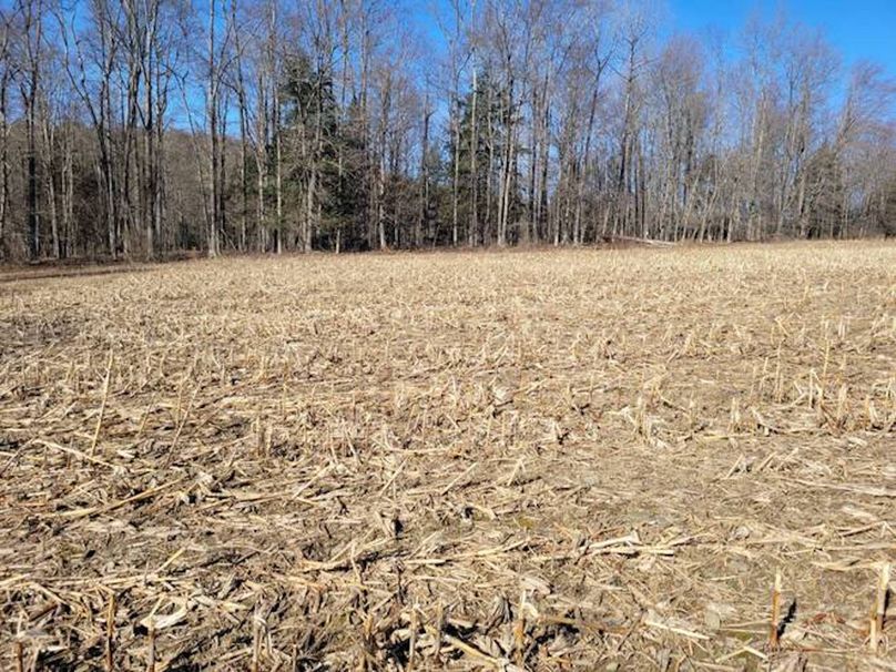 11067406-J6tyHMvHXbqHt72D