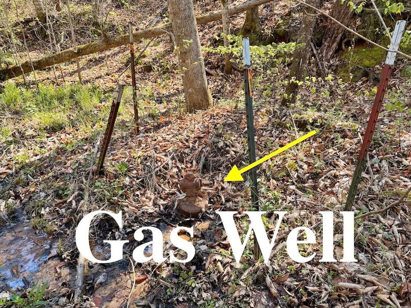 Scott Co TN 286 Keeton_008