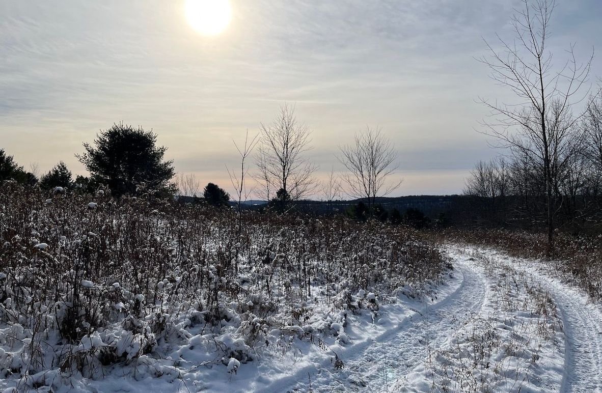 Chemung_29.78_Lippincott Photo 1