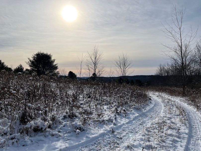 Chemung_29.78_Lippincott Photo 1