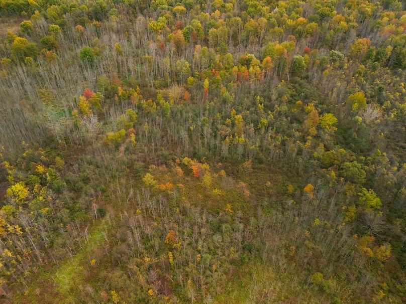 Wayne_29.09_BD_LandNorth_Parcel_7