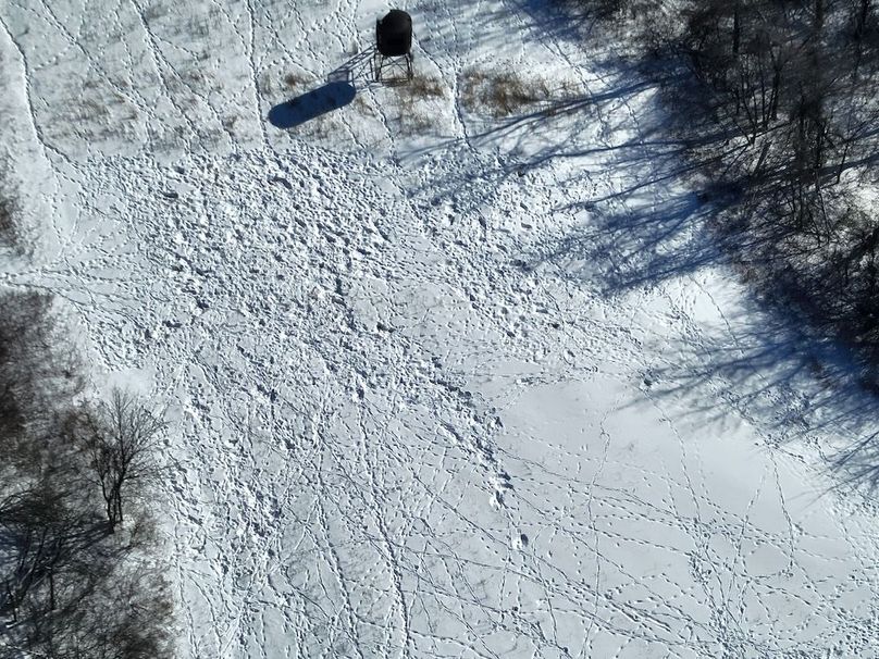 DJI_20260207115139_0008_Z