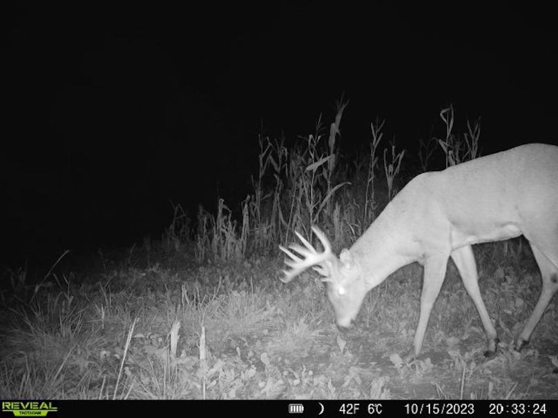 860322065287523-1-3-10152023203324-V-W1005421