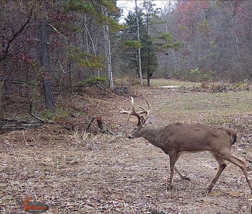 07 not shy about moving in the daytime