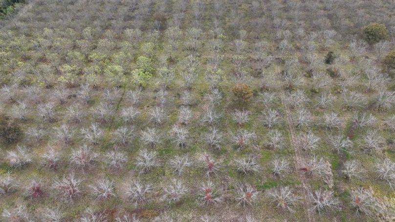 dji_fly_20251107_043228_0039_1762484038227_photo